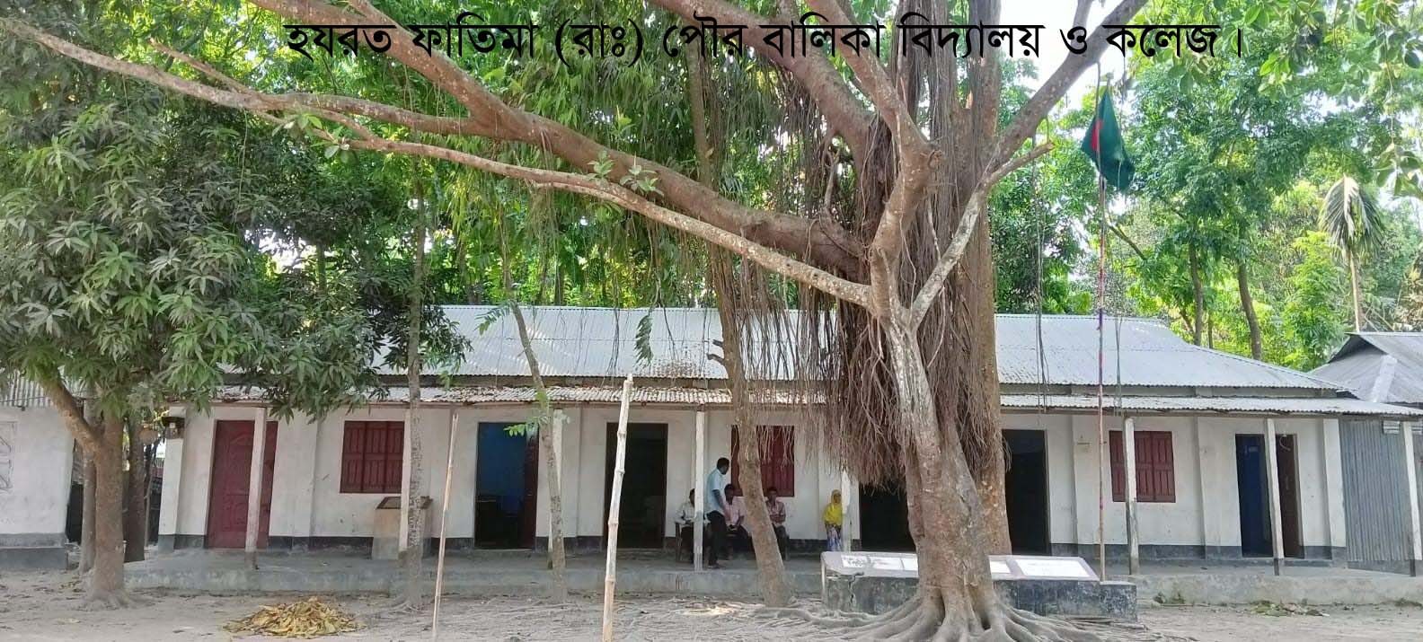 school 